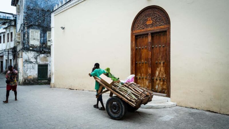 Zanzibar : Stone Town Tour,history without transport - Who Will Love This Tour?
