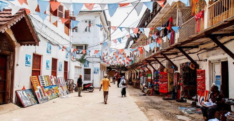 Zanzibar: Stone Town Walking Tour - Introduction