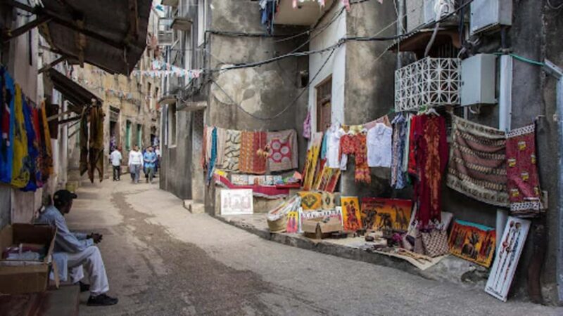 Zanzibar: Stone Town Walking Tour & Spice Farm with Lunch - Who Is This Tour Perfect For?