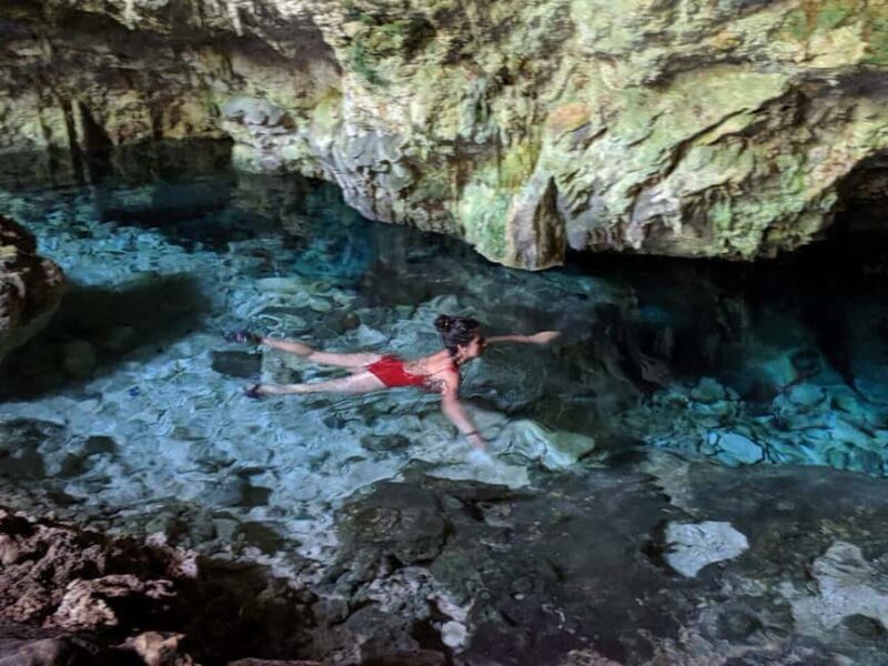 ZANZIBAR: Stone Town,Jozani forest and Kuza Cave - Jozani Forest: A Natural Wonderland