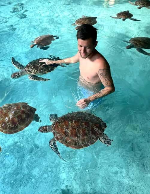 Zanzibar: Stone Town,Jozani forest,Sea turtles and The Rock - Zanzibar: Stone Town, Jozani Forest, Sea Turtles and The Rock – An In-Depth Review