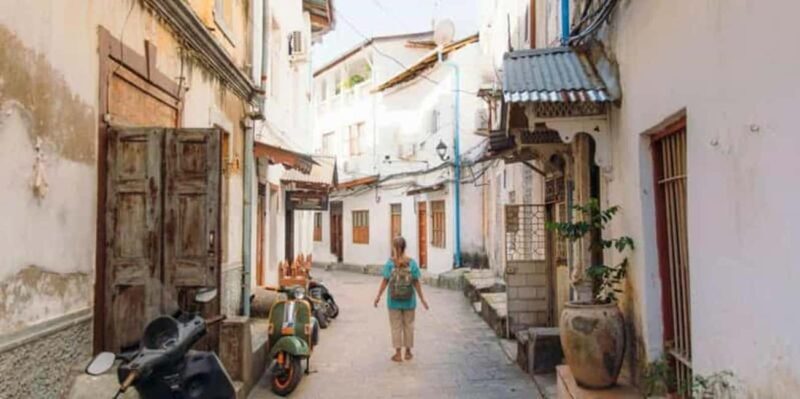 Zanzibar: Stone Town,Jozani forest,Sea turtles and The Rock - Practical Aspects and Considerations