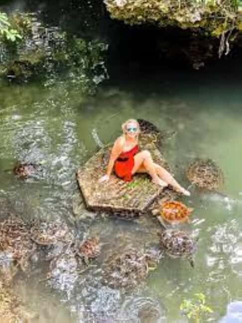 Zanzibar: Swim with Sea Turtles at Baraka or Salaam Aquarium - The Sum Up: Is This Tour Worth It?  