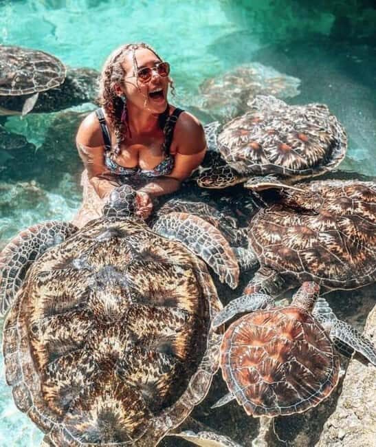 Zanzibar: Swim with turtles at Nungwi - Final Thoughts: Is It Worth It?