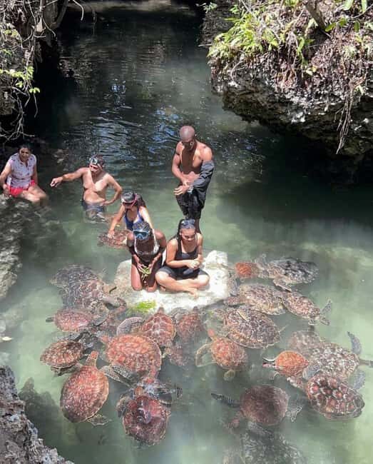 Zanzibar: Swim with turtles at Nungwi - Who Will Love This Tour?