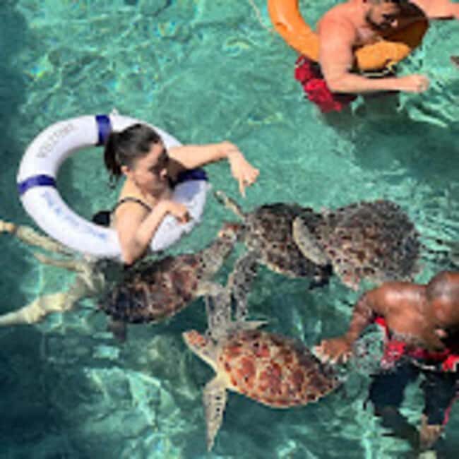 ZANZIBAR : Swimming with sea turtle at kizimkazi - Key Points