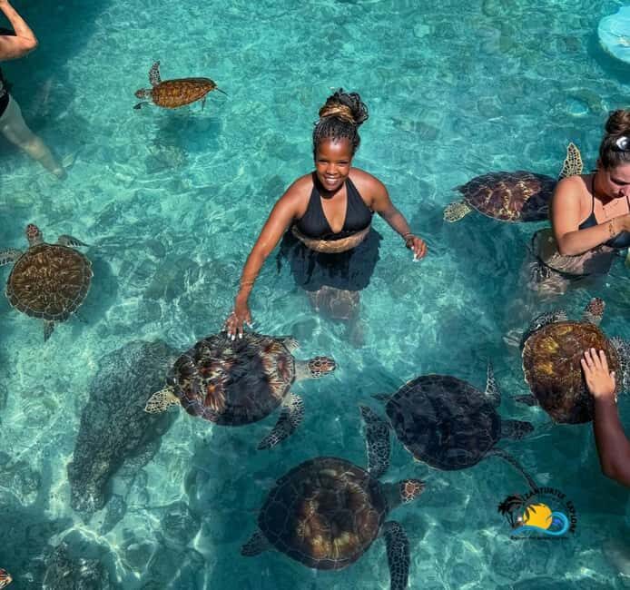 Zanzibar: Swimming with Turtles at Salaam Cave Aquarium - Key Points