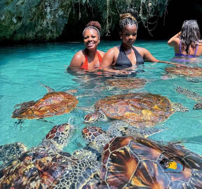 Zanzibar: Swimming with Turtles at Salaam Cave Aquarium - Is It Worth the Price?