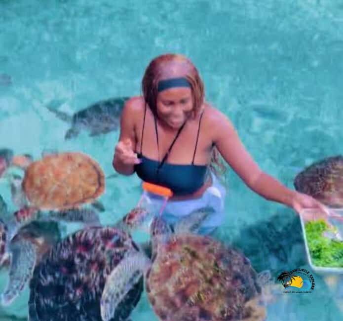 Zanzibar: Swimming with Turtles at Salaam Cave Aquarium - Final Thoughts: Is This Tour Right for You?