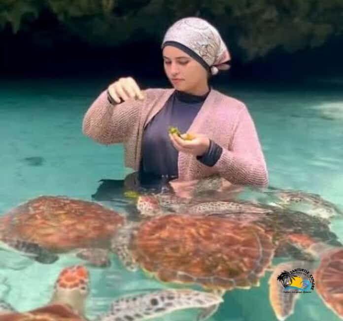 Zanzibar: Swimming with Turtles at Salaam Cave Aquarium - FAQs