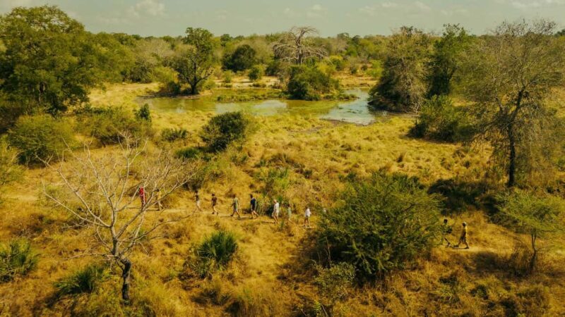 Zanzibar & Tanzania: 13 Days Beach & Safari Adventure Tour - An In-Depth Look at the 13-Day Zanzibar & Tanzania Tour