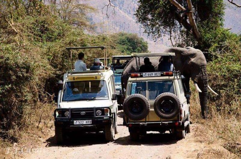 Zanzibar: Tarangire National Park and Ngorongoro Crater Tour - What’s Included and What’s Not