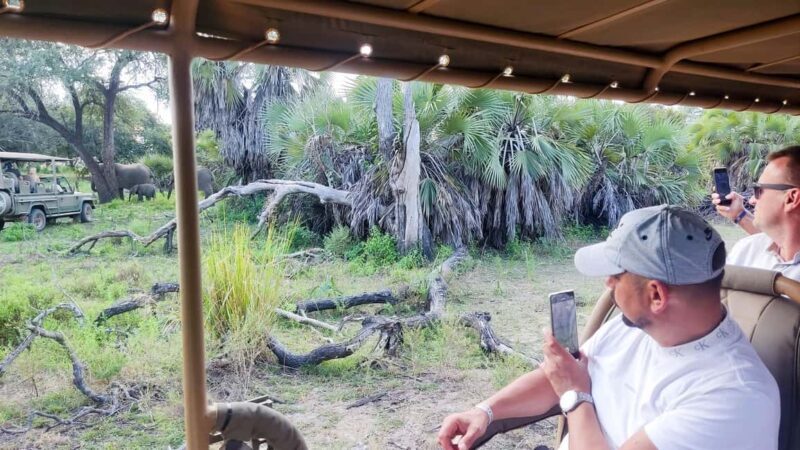 Zanzibar: The 2 Days & 3 Safari Nyerere National park/Selous - Final Verdict