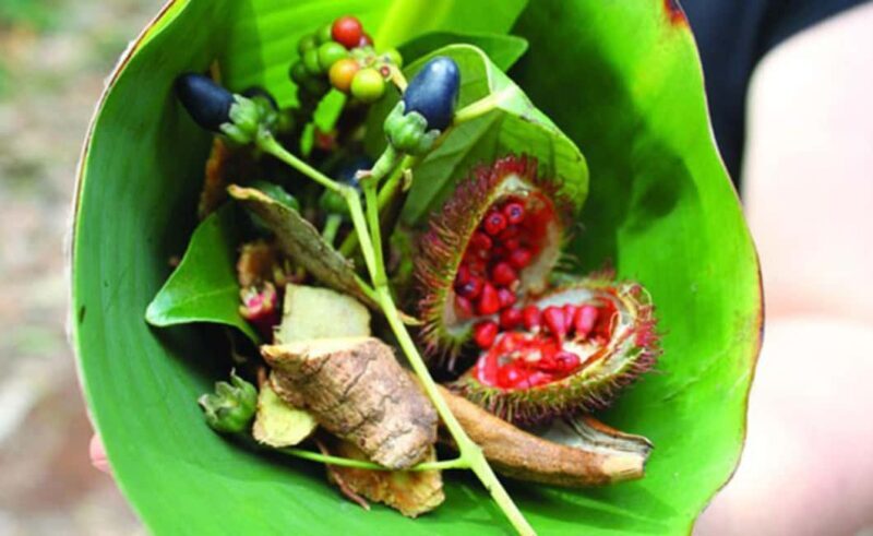Zanzibar: The Ultimate Spice Farm Experience - An In-Depth Look at the Spice Farm Tour