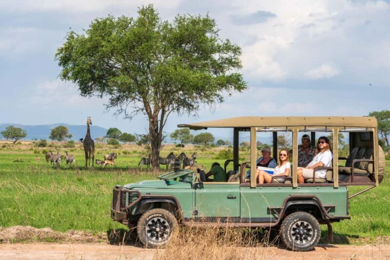 Zanzibar to Mikumi Ultimate Day Trip Safari Adventure - Key Points