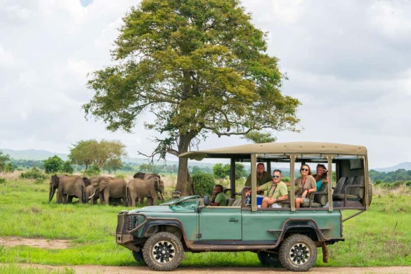 Zanzibar to Mikumi Ultimate Day Trip Safari Adventure - The Itinerary in Detail: What You Can Expect