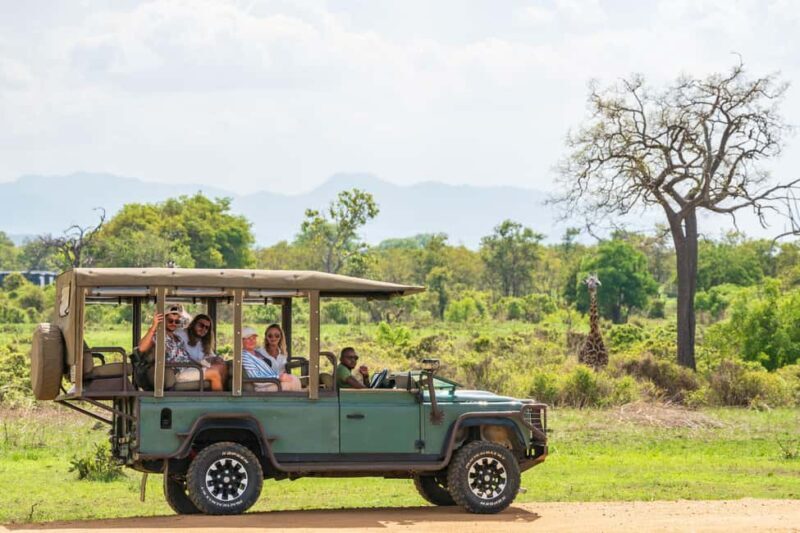 Zanzibar to Mikumi Ultimate Day Trip Safari Adventure - Who is This Tour Best Suited For?