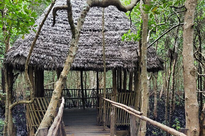 Zanzibar tours - Key Points