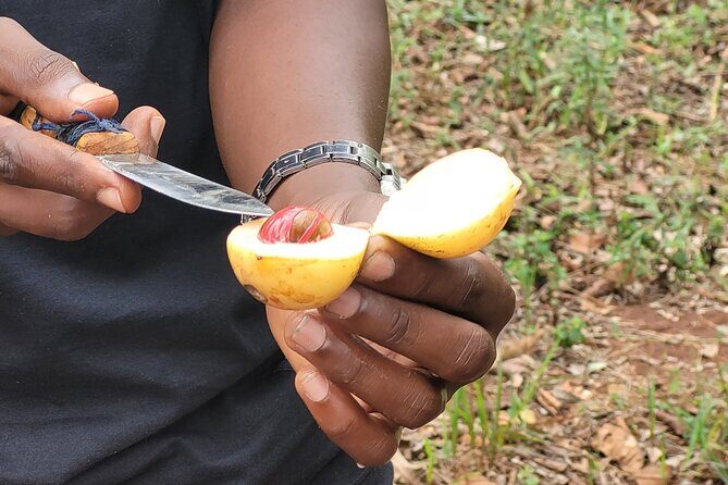 Zanzibar tours - A Spicy Adventure at Jambo Spice Farm
