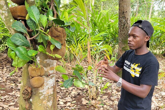 Zanzibar tours - Final Thoughts: Who Will Love This Tour?