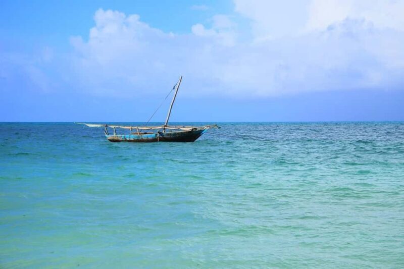 Zanzibar Tours: Mnemba & Dolphin Tour From Nungwi Or Kendwa - Key Points