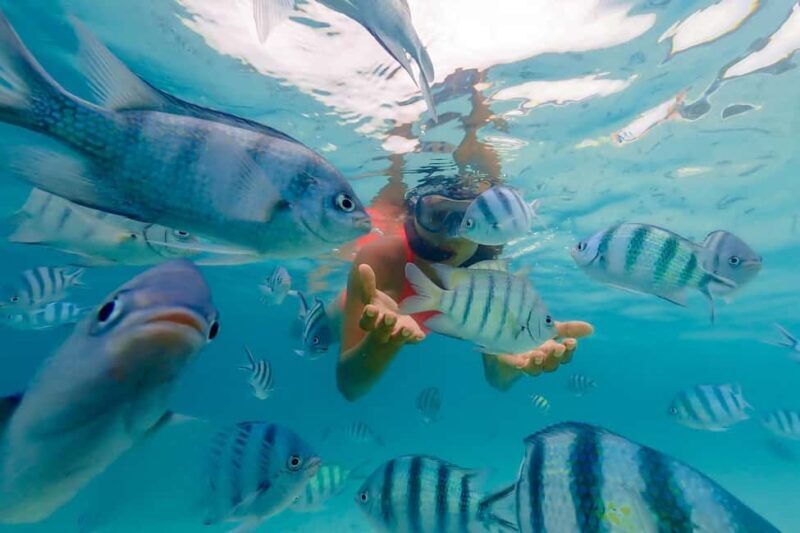 Zanzibar: Tumbatu Island Snorkeling Excursion from Nungwi - Key Points