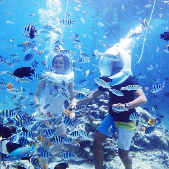 Zanzibar: Underwater Sea Walk with Helmet - Key Points