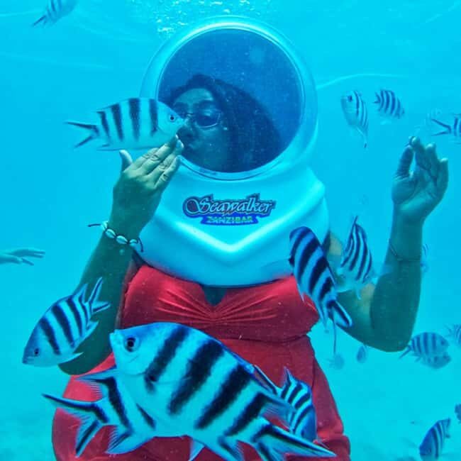 Zanzibar: Underwater Sea Walk with Helmet - Final Thoughts: Who Will Love This Tour?