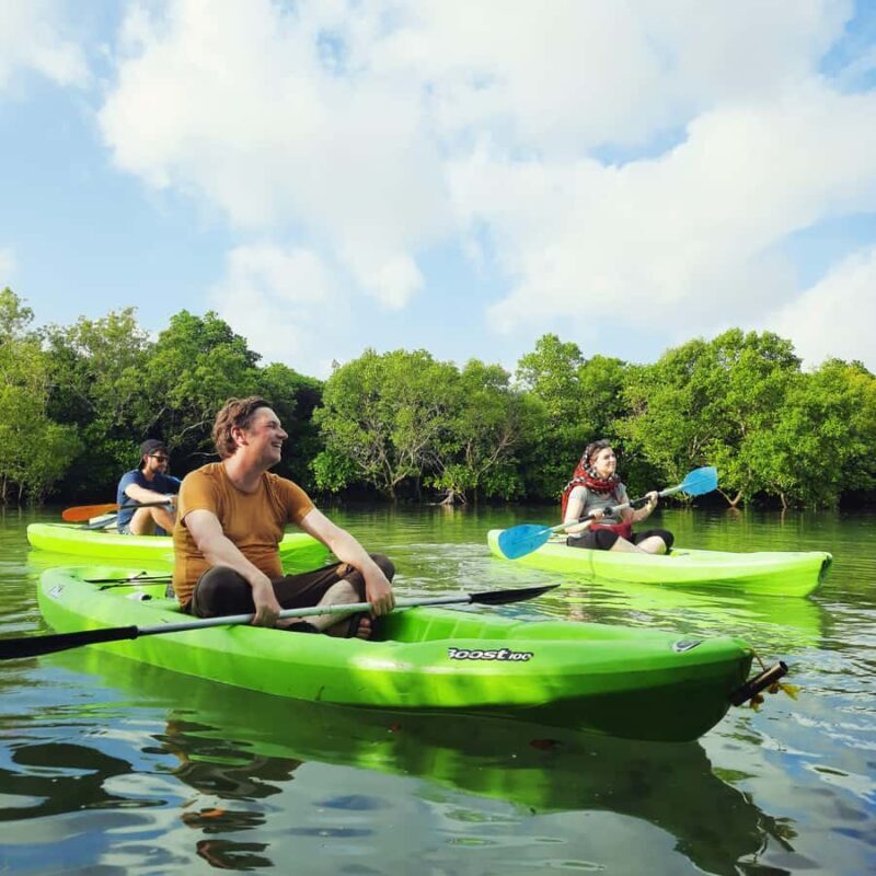 Zanzibar: Unique Guided Mangrove Tour by SUP or Kayak - Key Points