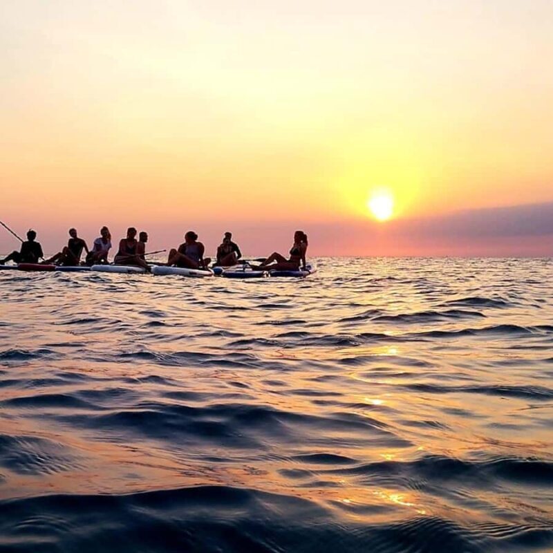 Zanzibar: Unique Guided Mangrove Tour by SUP or Kayak - Final Thoughts