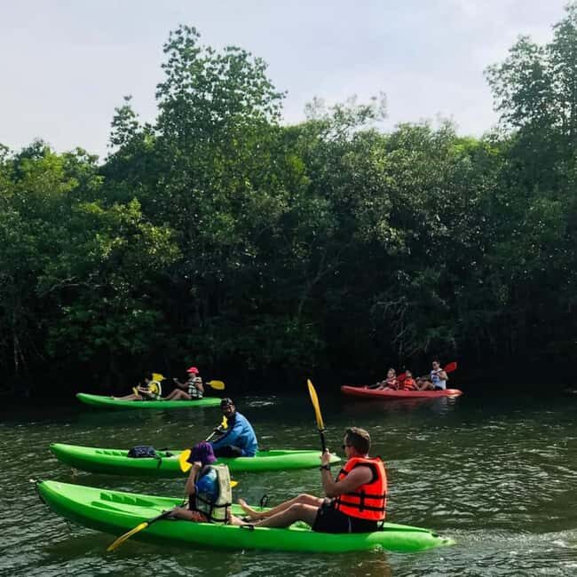 Zanzibar: Uzi Island Mangrove forest Kayaking & Village Tour - An In-Depth Look at the Uzi Island Tour