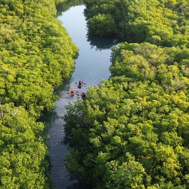 Zanzibar: Uzi Island Mangrove forest Kayaking & Village Tour - How Does It Compare?