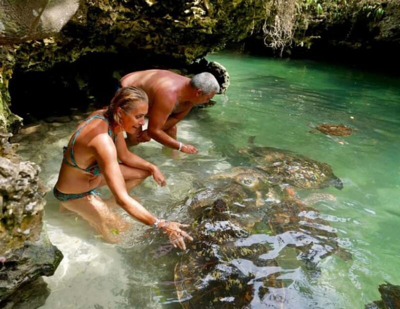 Zanzibar: Wildlife Zoo Kilosa and Baraka Natural Aquarium - What Makes This Tour Stand Out