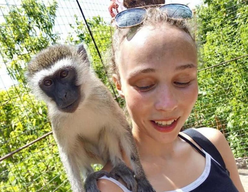 Zanzibar: Wildlife Zoo Kilosa and Baraka Natural Aquarium - What You Need to Know Before Booking