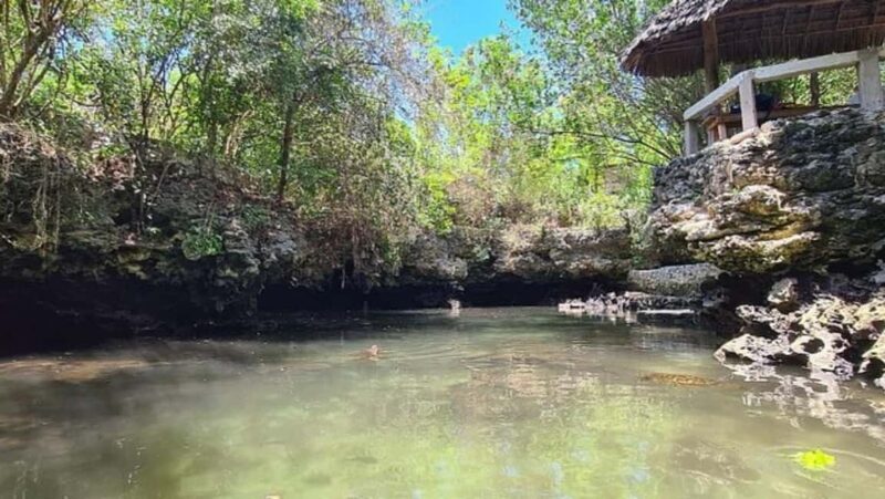 Zanzibar: Wildlife Zoo Kilosa and Baraka Natural Aquarium - Why This Tour Is a Great Choice