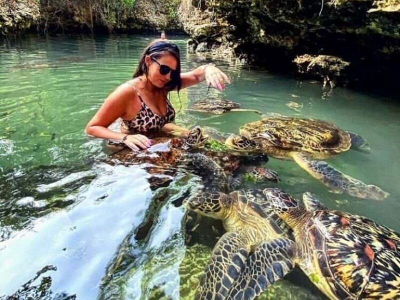 Zanzibar: Wildlife Zoo Kilosa and Baraka Natural Aquarium - Final Thoughts