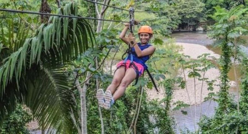 Zanzibar: Zipline Adventure in masingini forest tour - Key Points