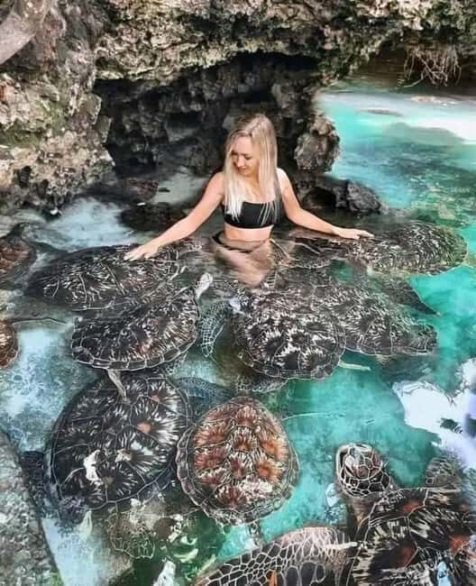 ZANZIBAR:Jozani forest, Sea turtle sanctuary and Paje beach - Introduction