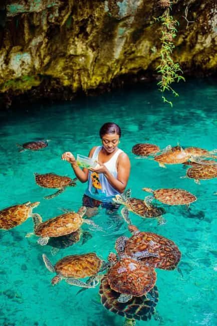 ZANZIBAR:Jozani forest, Sea turtle sanctuary and Paje beach - Why Choose This Tour?