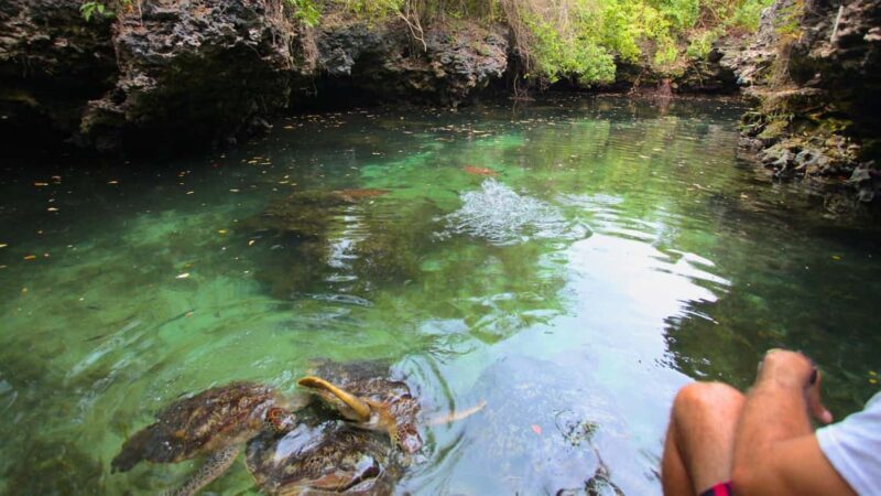 ZANZIBAR:Jozani forest,baraka aquarium and Kendwa beach - Practical Details and Tips
