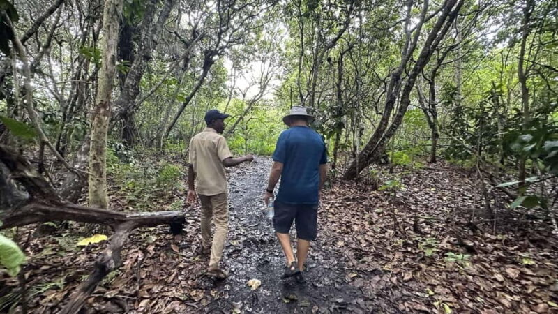 ZANZIBAR:Jozani Forest,Prison island and Nakupenda sand bank - Jozani Chwaka Bay National Park: Nature’s Hidden Treasure