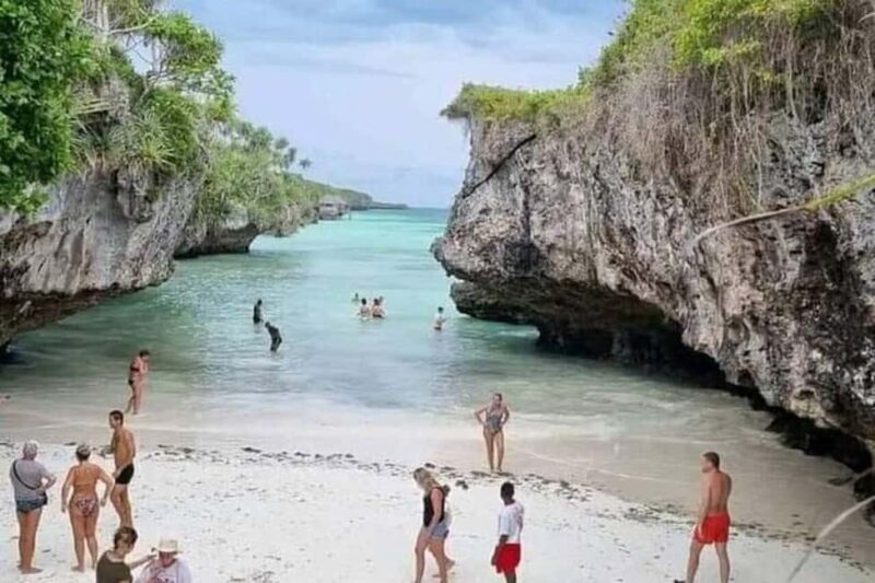 ZANZIBAR:Jozani Forest,Visit turtles sanctuary,mtende beach - An In-Depth Look at the Tour Experience