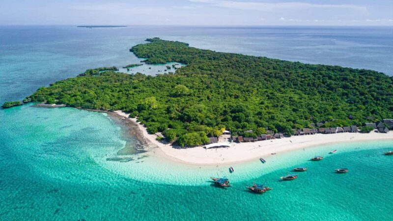 ZANZIBAR:Luxuary Blue Safari with private boat and BBQ lunch - Key Points