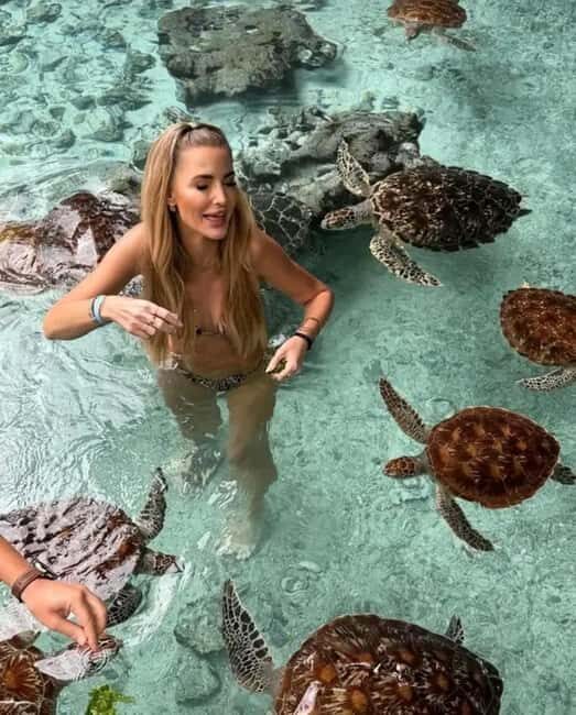 ZANZIBAR:Mnemba island,Spice farm and Sea turtles Sanctuary - Itinerary Breakdown: From Marine Life to Spice