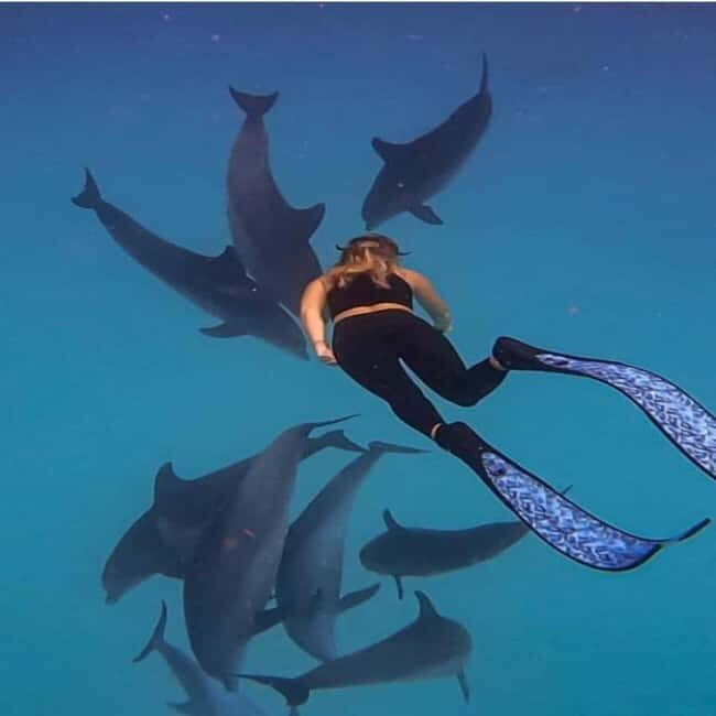 Zanzibar:Mnemba Snorkeling, red colorbus monkey & Stone Town - Authentic Insights from Reviewers