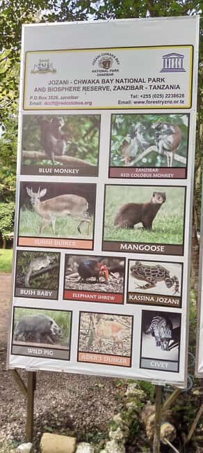 ZANZIBAR:Prison Island,Jozani forest and Seaturtle Sanctuary - Key Points