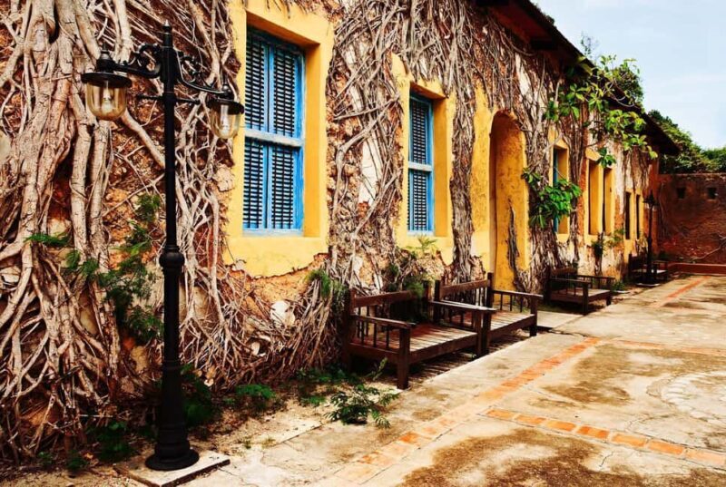 ZANZIBAR:Prison Island,Jozani forest and Seaturtle Sanctuary - What to Bring and Know Before You Go