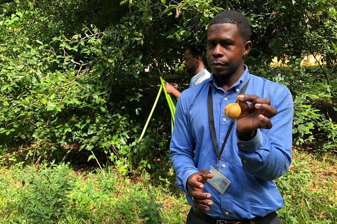 Zanzibar's Finest: Private Tour of Top 5 Attractions with Lunch - The Sum Up