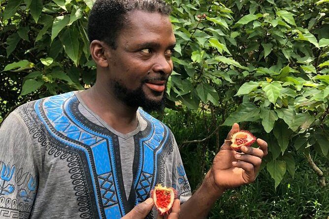 Zanzibar's Finest: Private Tour of Top 5 Attractions with Lunch - FAQ Section