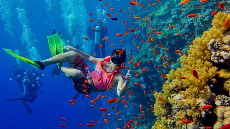ZANZIBAR:Safari blue pivate boat and Sea turtle sanctuary - Zanzibar Safari Blue Private Boat and Sea Turtle Sanctuary Tour Review